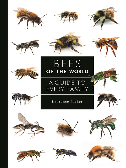 Title details for Bees of the World by Laurence Packer - Available